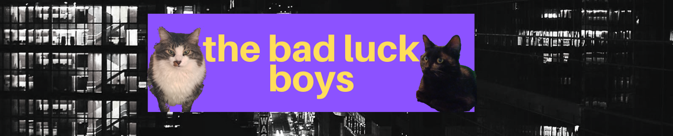 The Bad Luck Boys banner logo